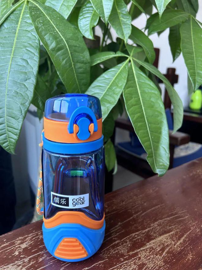 甩!29元买到奥运会同款摔不烂水壶?!一键喝水都被抢疯了(图27) 甩!29元买到奥运会同款摔不烂水壶?!一键喝水都被抢疯了(图27)