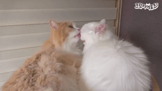 两人运动时「前戏」为什么那么重要？（男生匆入）(图1)