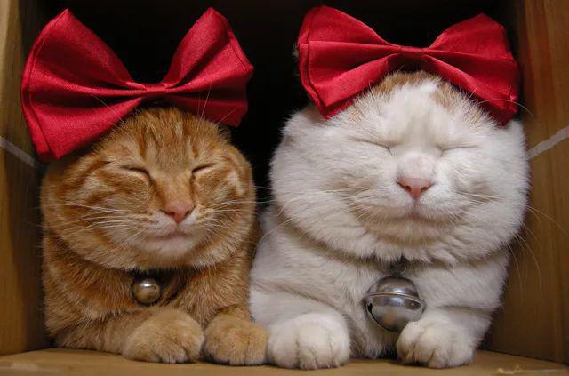 两人运动时「前戏」为什么那么重要？（男生匆入）(图2)