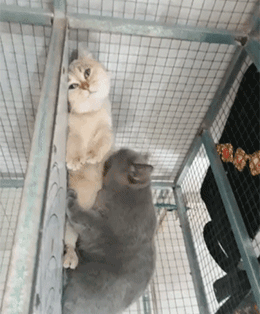 两人运动时「前戏」为什么那么重要？（男生匆入）(图3)