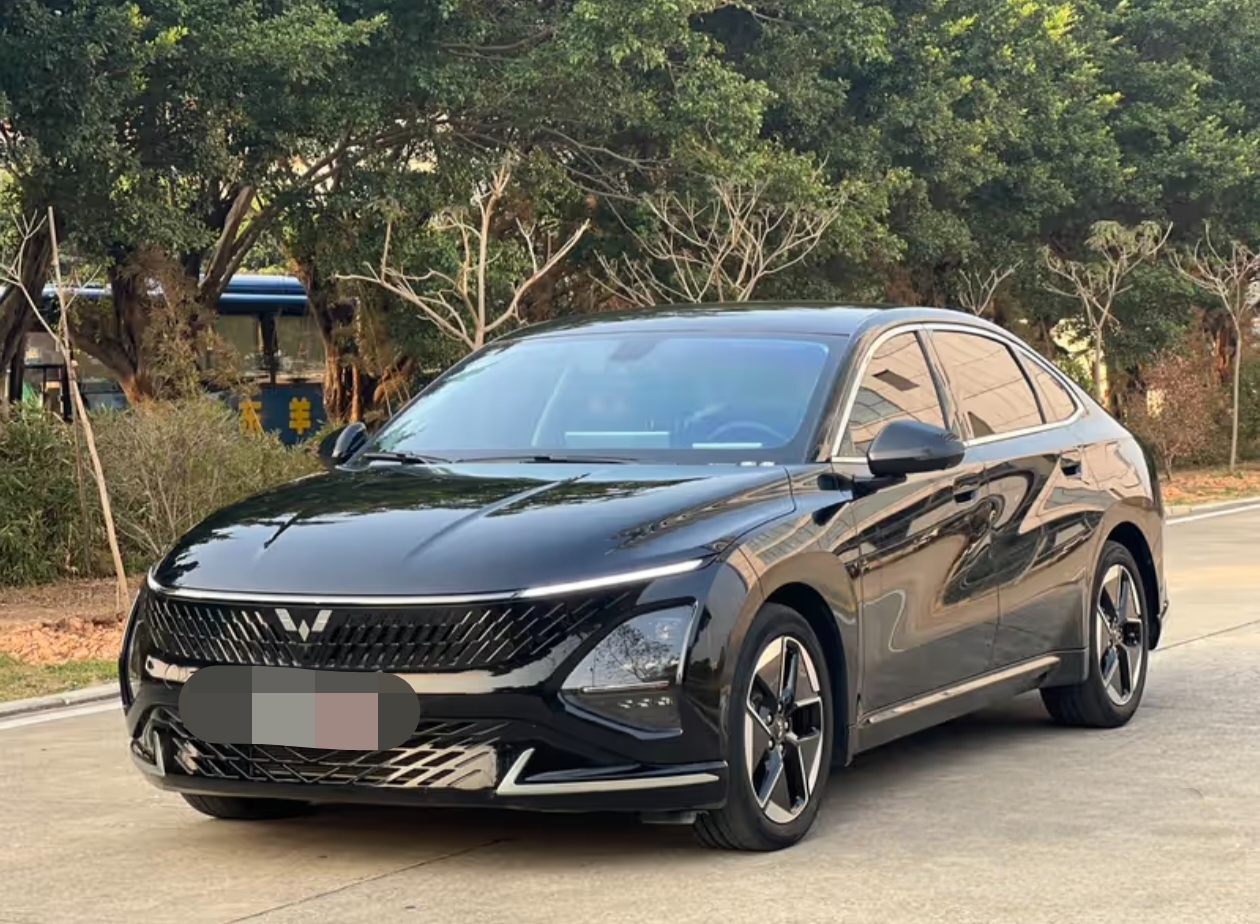 国民新能源轿车五菱星光:月薪5000养得起全家出行装得下(图3) 国民新能源轿车五菱星光:月薪5000养得起全家出行装得下(图3)