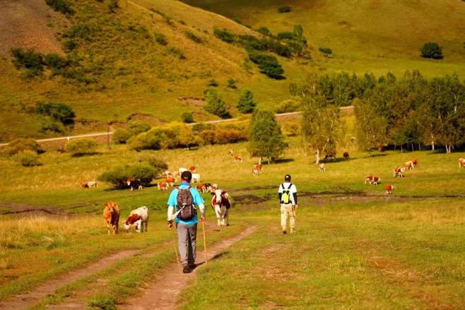 呼伦贝尔户外运动者的天堂(图3) 呼伦贝尔户外运动者的天堂(图3)