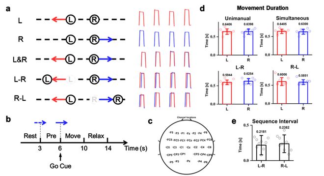 北理工团队探索了双上肢不同协同运动方式下的神经活动规律以及运动解码(图1) 北理工团队探索了双上肢不同协同运动方式下的神经活动规律以及运动解码(图1)