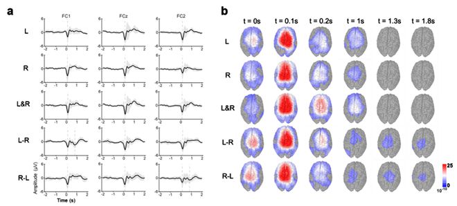 北理工团队探索了双上肢不同协同运动方式下的神经活动规律以及运动解码(图2) 北理工团队探索了双上肢不同协同运动方式下的神经活动规律以及运动解码(图2)