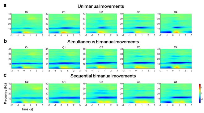 北理工团队探索了双上肢不同协同运动方式下的神经活动规律以及运动解码(图3) 北理工团队探索了双上肢不同协同运动方式下的神经活动规律以及运动解码(图3)