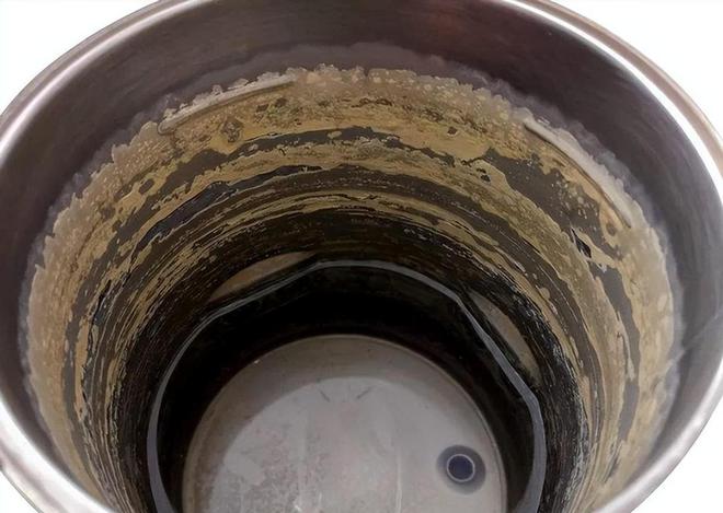 世卫组织呼吁：停止使用电热水壶否则会诱发癌症？真相来了！(图13)