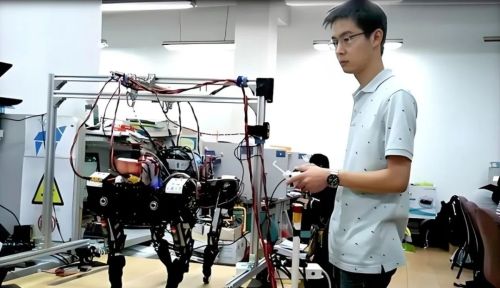 王兴兴:斗狗(图11) 王兴兴:斗狗(图11)