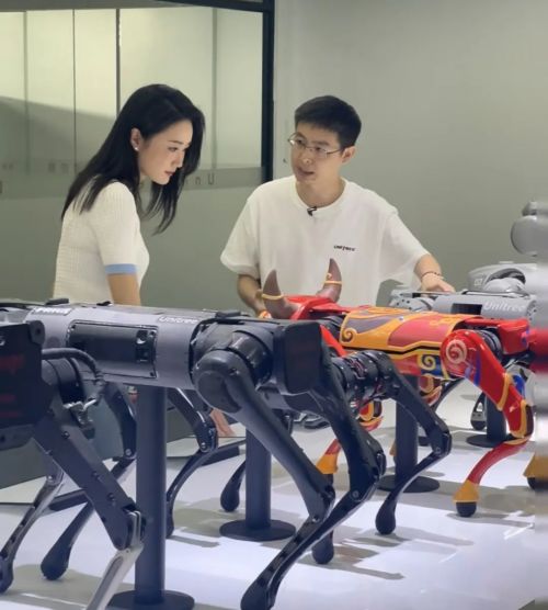 王兴兴:斗狗(图16) 王兴兴:斗狗(图16)