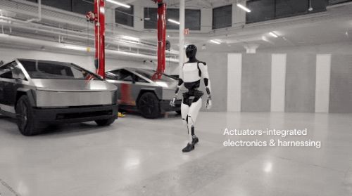 王兴兴:斗狗(图23) 王兴兴:斗狗(图23)