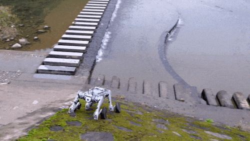 王兴兴:斗狗(图25) 王兴兴:斗狗(图25)