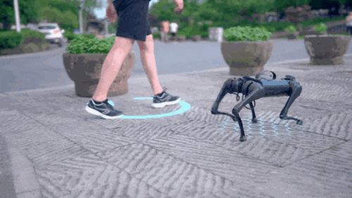 王兴兴:斗狗(图31) 王兴兴:斗狗(图31)