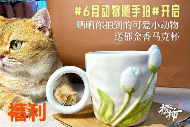 留言分享你印象最深的影视剧配乐送日本陶笛大师宗次郎音乐会门票丨橙柿福利(图7) 留言分享你印象最深的影视剧配乐送日本陶笛大师宗次郎音乐会门票丨橙柿福利(图7)