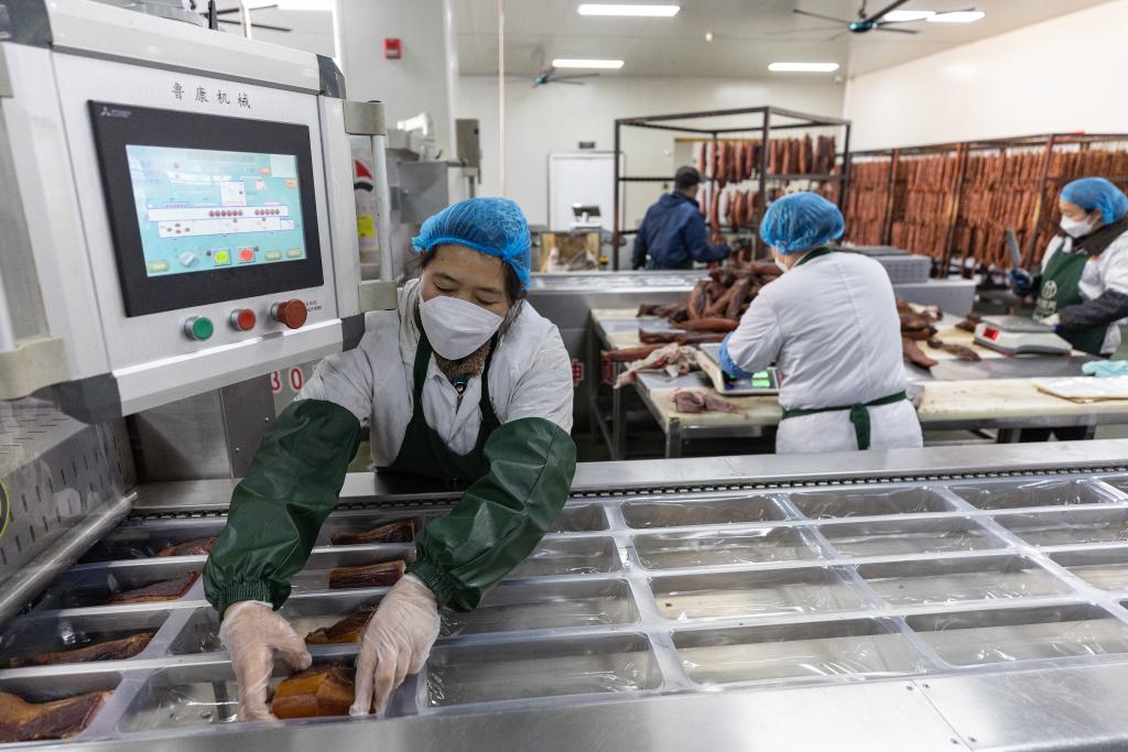 财经聚焦·地方两会经济热词｜县域经济2025年各地瞄准哪些发展新赛道？(图1)