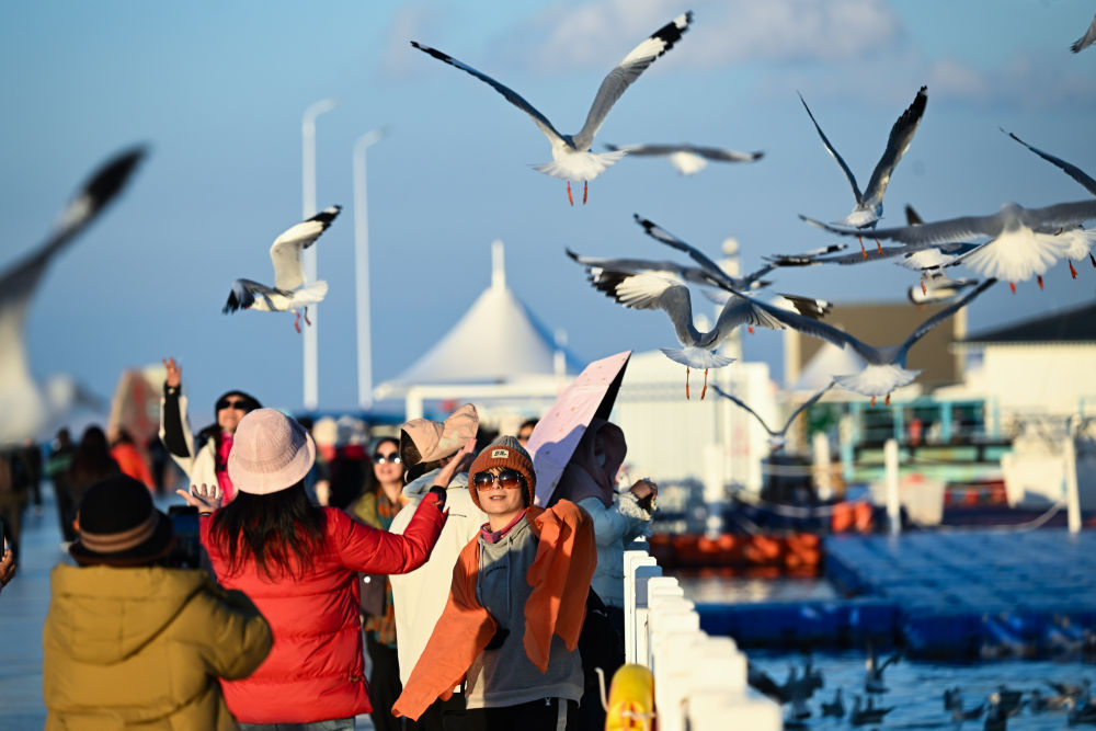 向“绿”而行:中国加大湿地保护赋能民众美好生活(图1) 向“绿”而行:中国加大湿地保护赋能民众美好生活(图1)