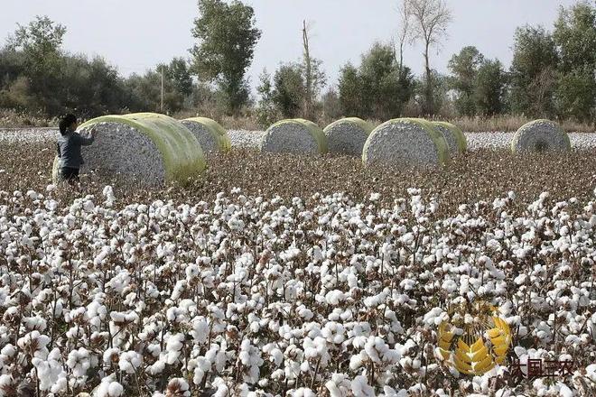 尿素袋你还是太全面了!(图5) 尿素袋你还是太全面了!(图5)