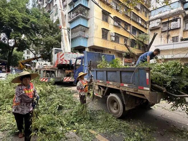 全面消杀、依法查处……肇庆“灭蚊大作战”持续进行中！(图3)